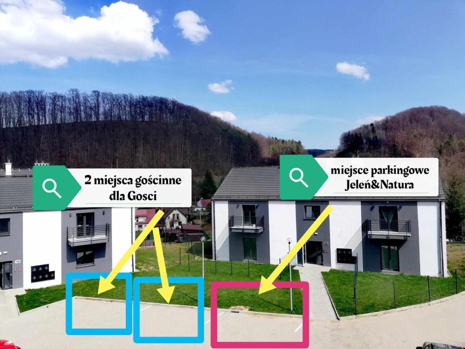 Apartment Roku 2025 !! Spa & Relax Jelen & Natura Kudowa-Zdrój Eksteriør bilde